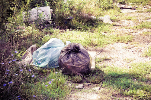 Photo of illegal dumping in wooded area